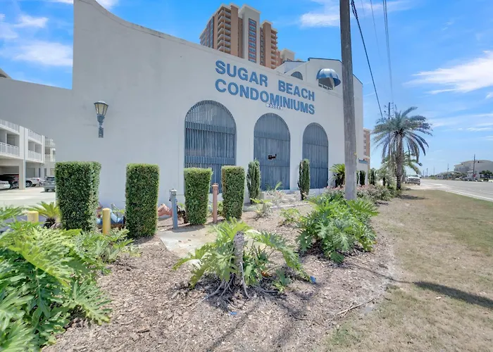 Apartment Sugar 241 By Collection *