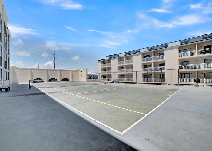 Apartment Sugar 241 By Collection *