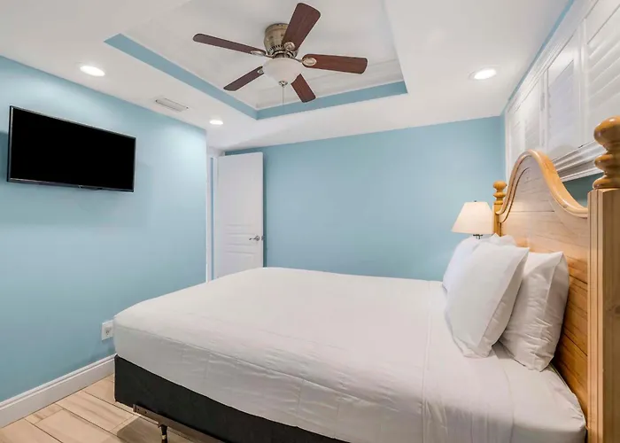 Apartment Sugar 241 By Collection *